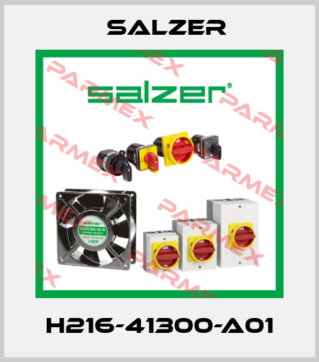 H216-41300-A01 Salzer