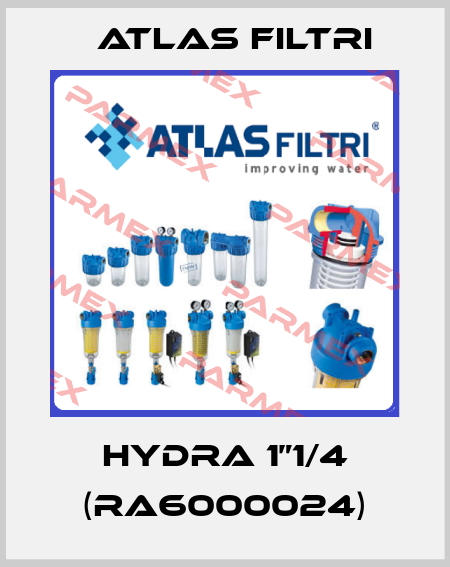 Hydra 1”1/4 (RA6000024) Atlas Filtri