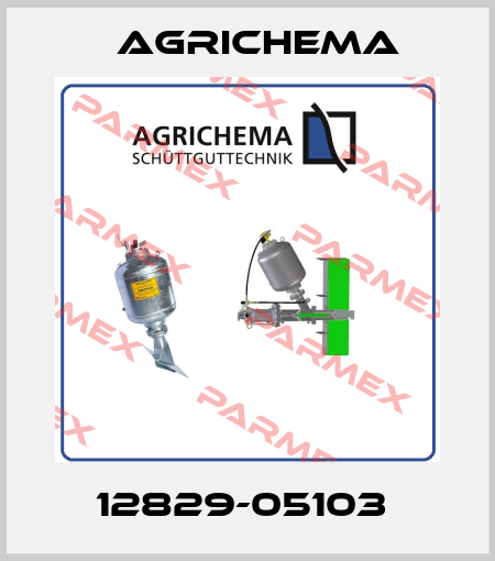 12829-05103  Agrichema
