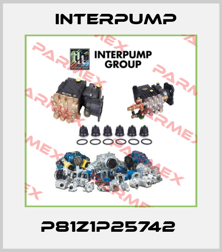 P81Z1P25742  Interpump
