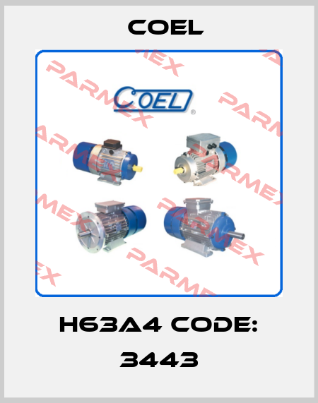 H63A4 CODE: 3443 Coel