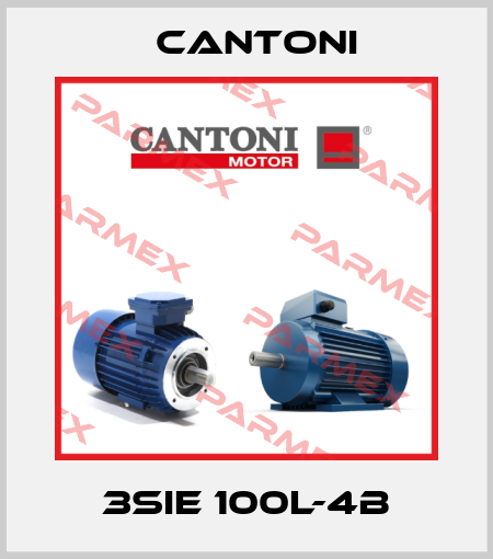 3SIE 100L-4B Cantoni