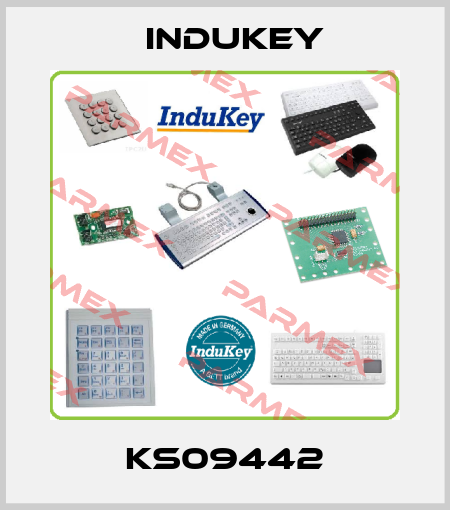 KS09442 InduKey