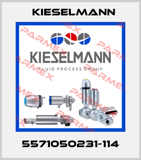 5571050231-114 Kieselmann