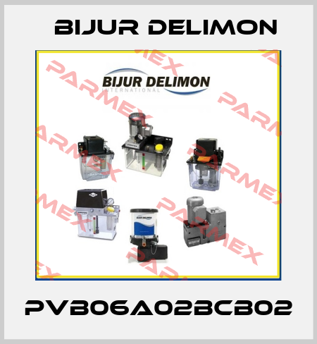 PVB06A02BCB02 Bijur Delimon