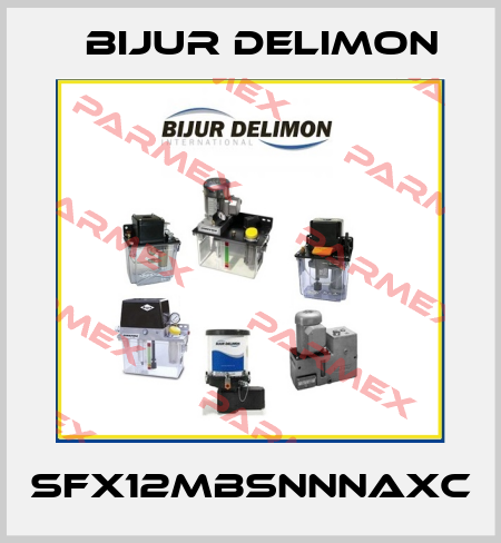 SFX12MBSNNNAXC Bijur Delimon