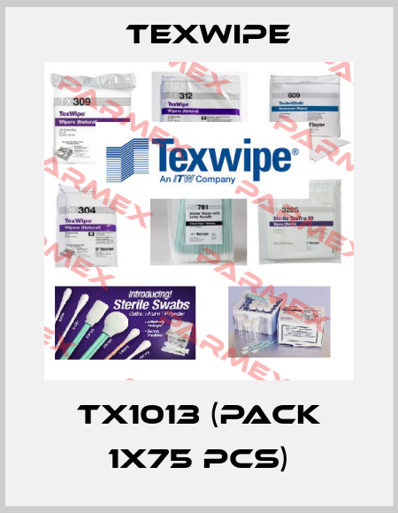 TX1013 (pack 1x75 pcs) Texwipe