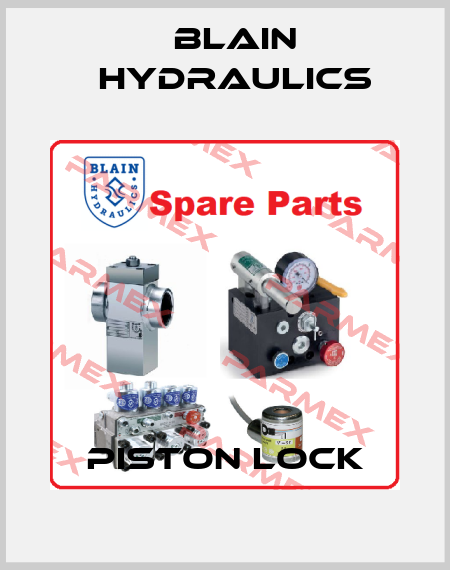 piston lock Blain Hydraulics