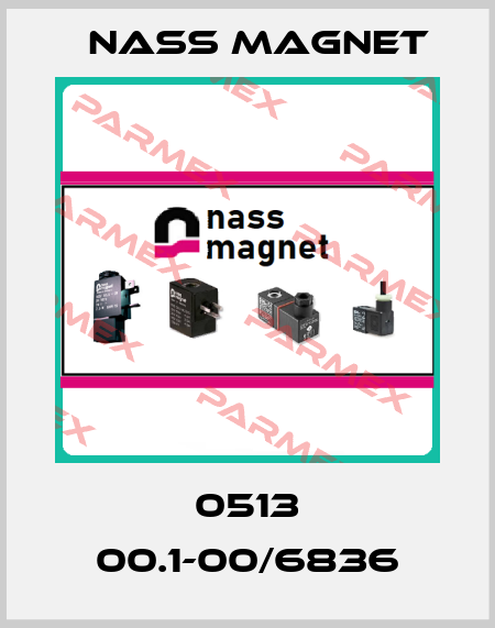 0513 00.1-00/6836 Nass Magnet