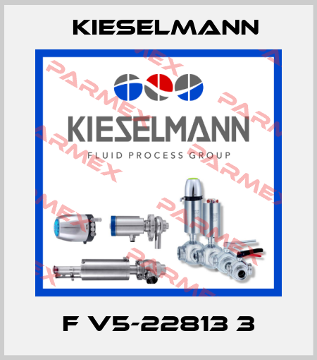 F V5-22813 3 Kieselmann