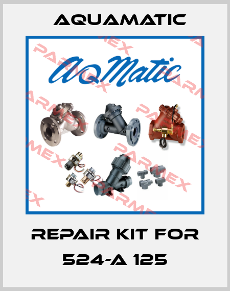 Repair kit for 524-A 125 AquaMatic