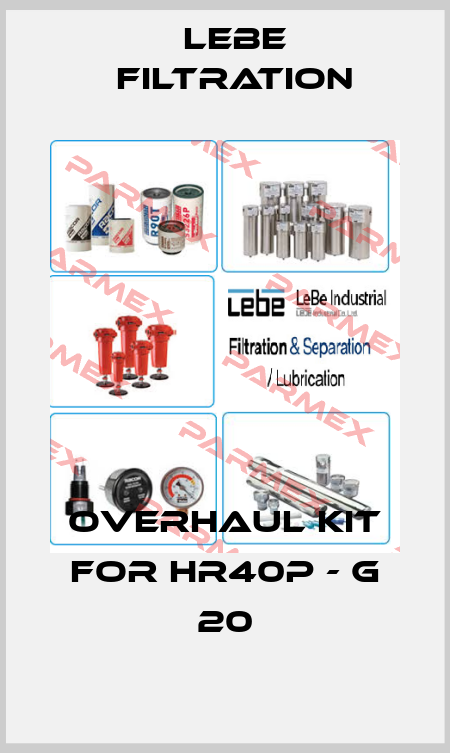 OVERHAUL KIT FOR HR40P - G 20 Lebe Filtration