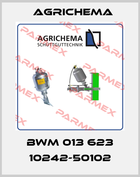BWM 013 623 10242-50102 Agrichema