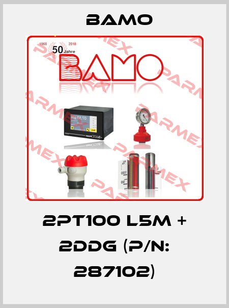 2PT100 L5m + 2DDG (P/N: 287102) Bamo