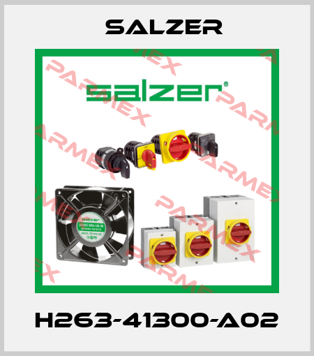 H263-41300-A02 Salzer