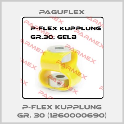 P-Flex Kupplung Gr. 30 (1260000690) Paguflex