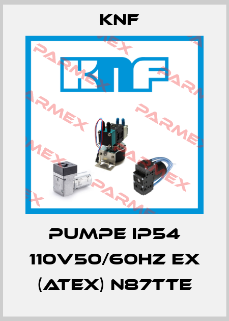 PUMPE IP54 110V50/60HZ EX (ATEX) N87TTE KNF