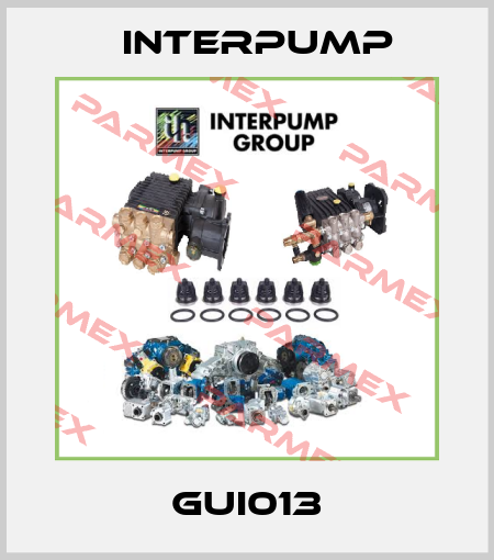 GUI013 Interpump