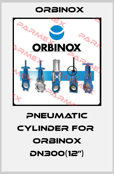 pneumatic cylinder for  ORBINOX DN300(12”) Orbinox