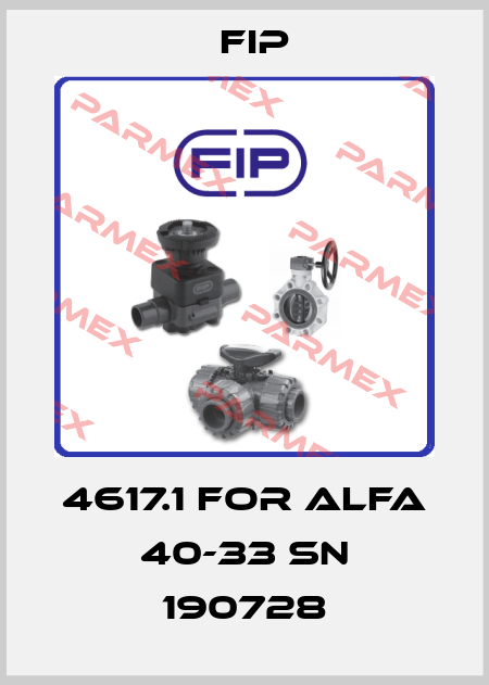 4617.1 for Alfa 40-33 SN 190728 Fip