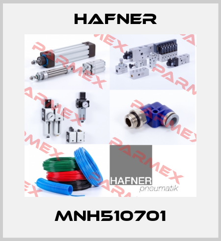 MNH510701 Hafner