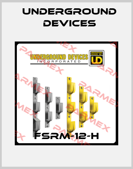 FSRM-12-H Underground Devices