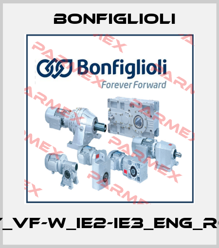 BR_CAT_VF-W_IE2-IE3_ENG_R08_1-B3 Bonfiglioli