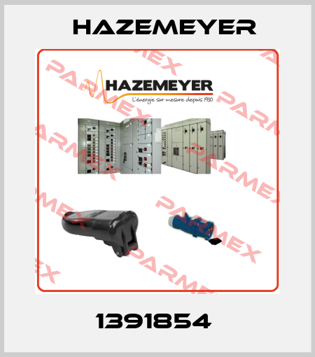 1391854  Hazemeyer