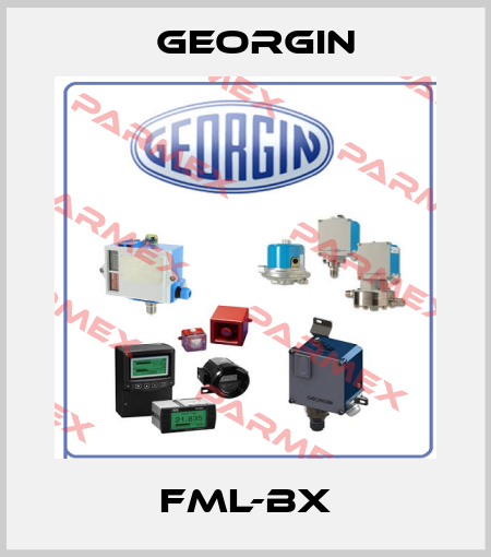 FML-BX Georgin