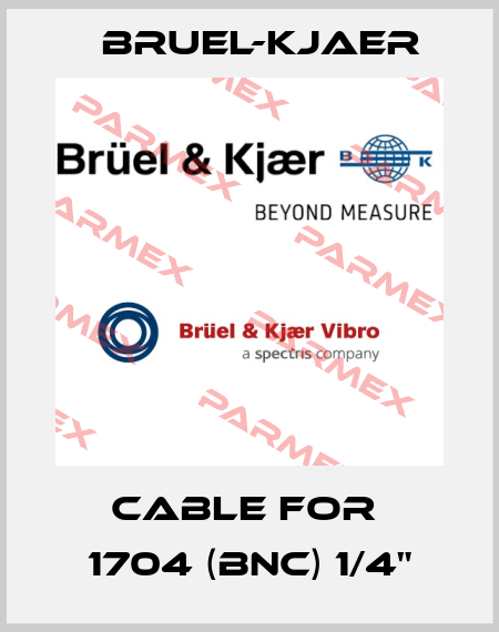 Cable for  1704 (BNC) 1/4" Bruel-Kjaer