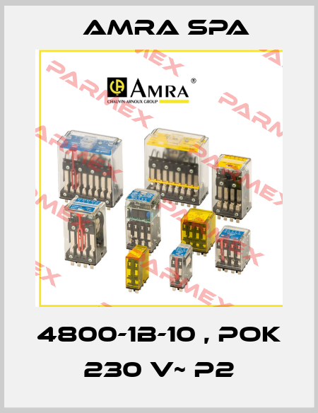 4800-1B-10 , POK 230 V~ P2 Amra SpA