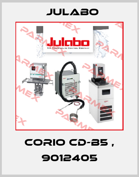 CORIO CD-B5 , 9012405 Julabo