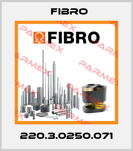 220.3.0250.071 Fibro