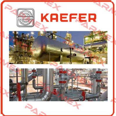 100012372 Kaefer