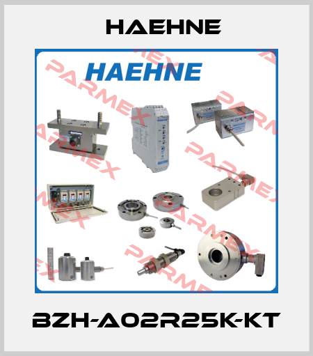 BZH-A02R25k-KT HAEHNE