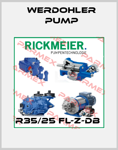 R35/25 FL-Z-DB  Werdohler Pump
