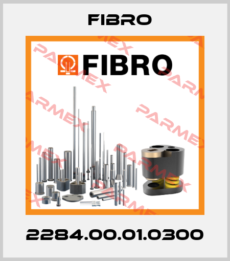 2284.00.01.0300 Fibro