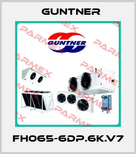 FH065-6DP.6K.V7 Guntner