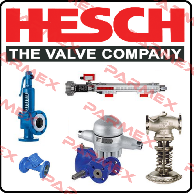 257898-003 Hesch