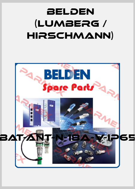 BAT-ANT-N-18A-V-IP65 Belden (Lumberg / Hirschmann)