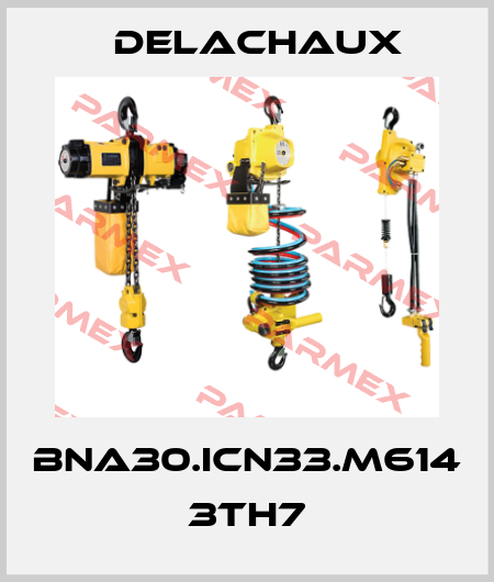 BNA30.ICN33.M614 3TH7 Delachaux