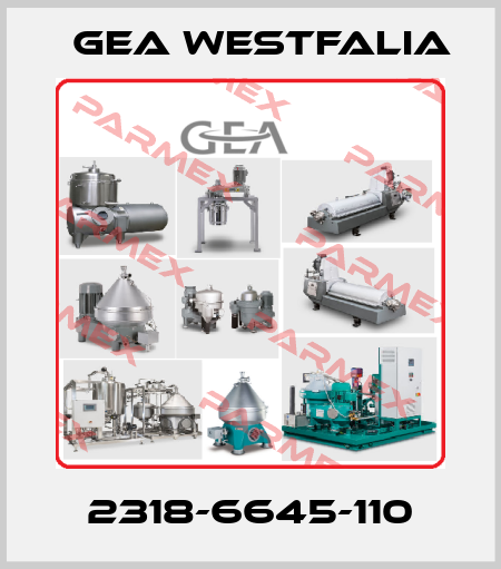 2318-6645-110 Gea Westfalia