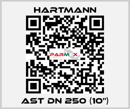 AST DN 250 (10") Hartmann