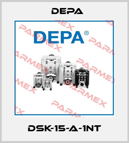 DSK-15-A-1NT Depa