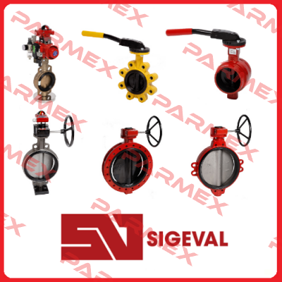 202572W010003 Sigeval