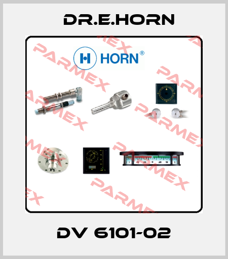DV 6101-02 Dr.E.Horn