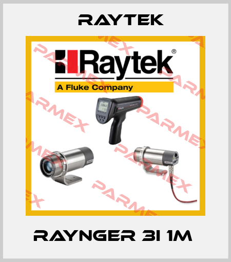 RAYNGER 3I 1M  Raytek
