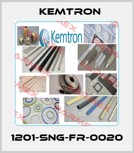 1201-SNG-FR-0020 KEMTRON