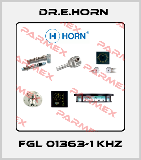 FGL 01363-1 KHZ Dr.E.Horn