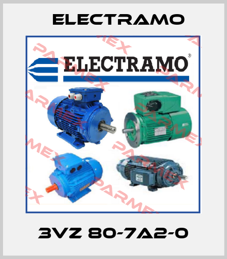 3VZ 80-7A2-0 Electramo